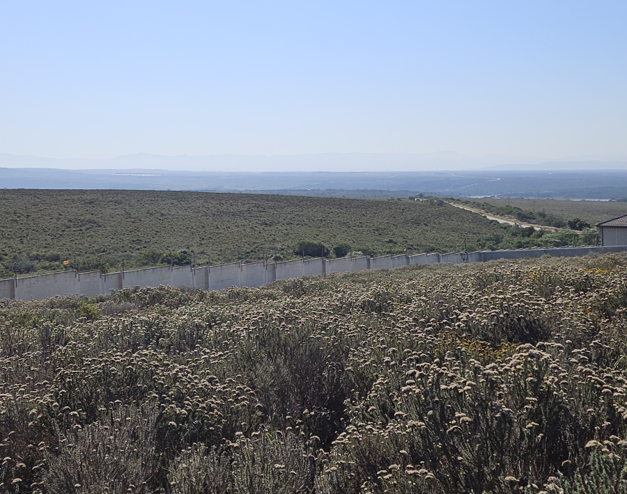 0 Bedroom Property for Sale in Blue Waters Estate Eastern Cape